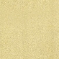 Vanilla Cream 3.5